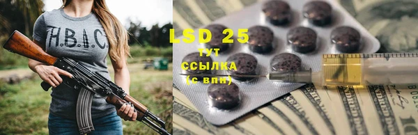 индика Алексеевка
