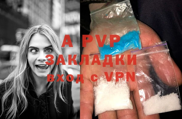 прущие грибы Протвино