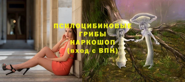 индика Алексеевка