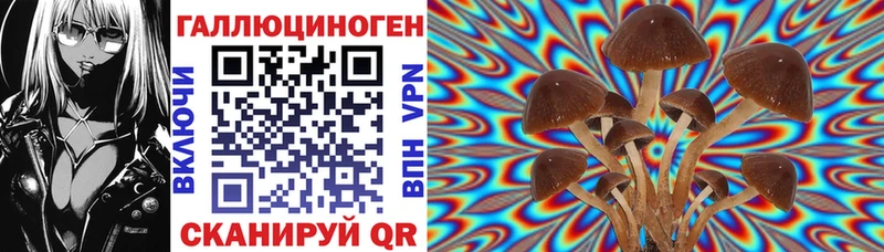 Псилоцибиновые грибы мицелий дарк нет формула Долинск